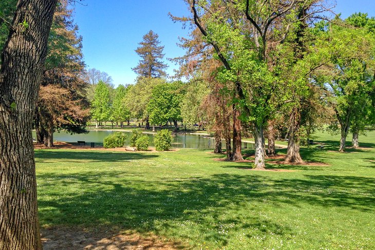 Spend a Day at the Park