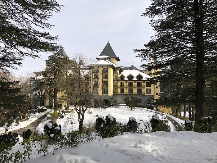 Wildflower Hall, Shimla