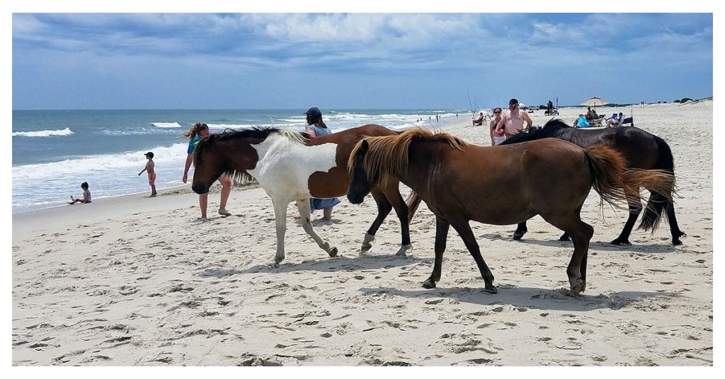 Assateague State Park