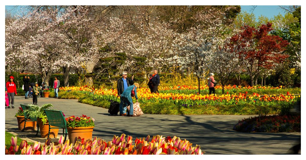Dallas Arboretum and Botanical Gardens