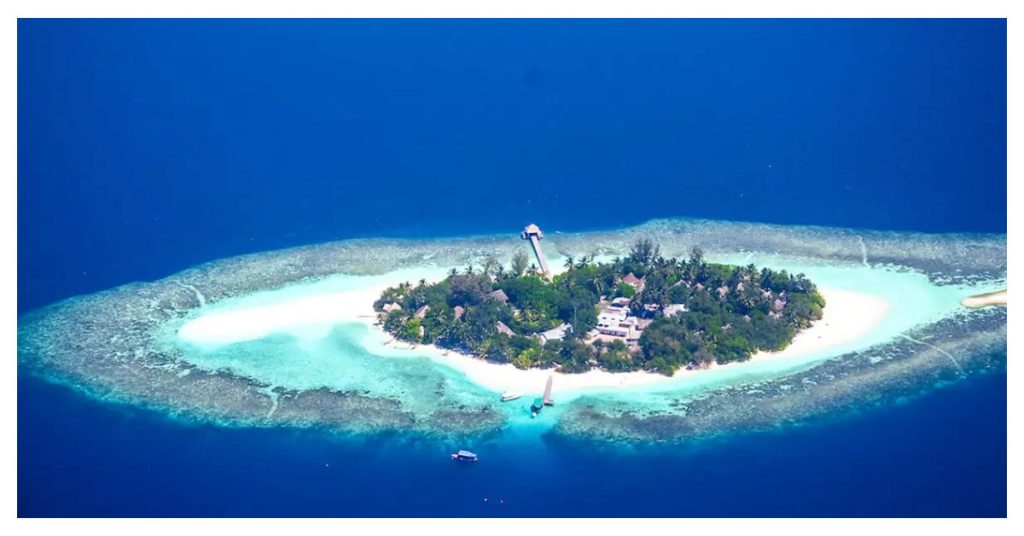 Island Hop for Diversity