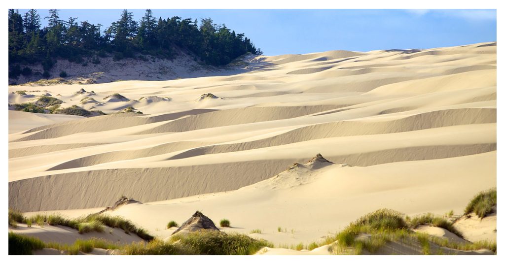 Oregon Dunes national recreational park