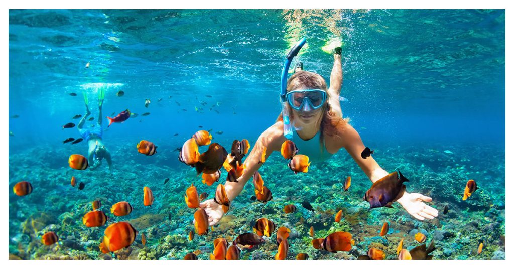 Snorkel or dive the coral reefs