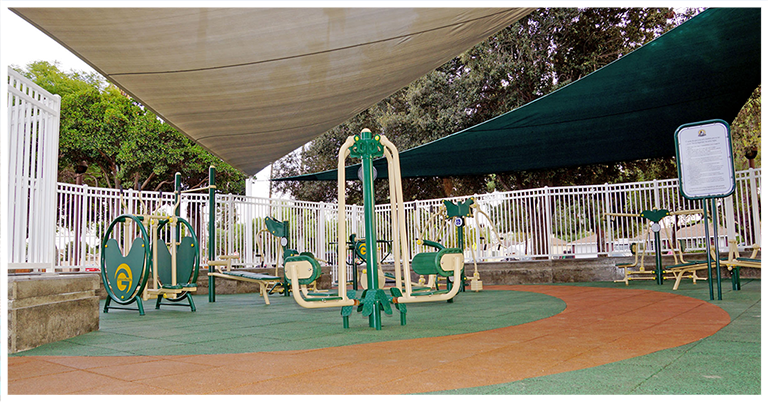 Get Outdoors at Memorial Park