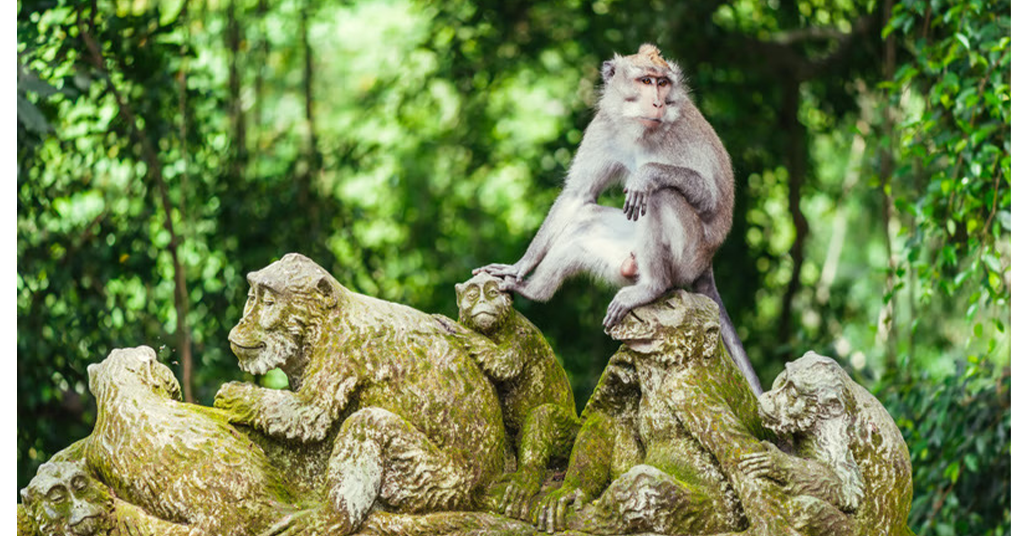Things to do in Bali