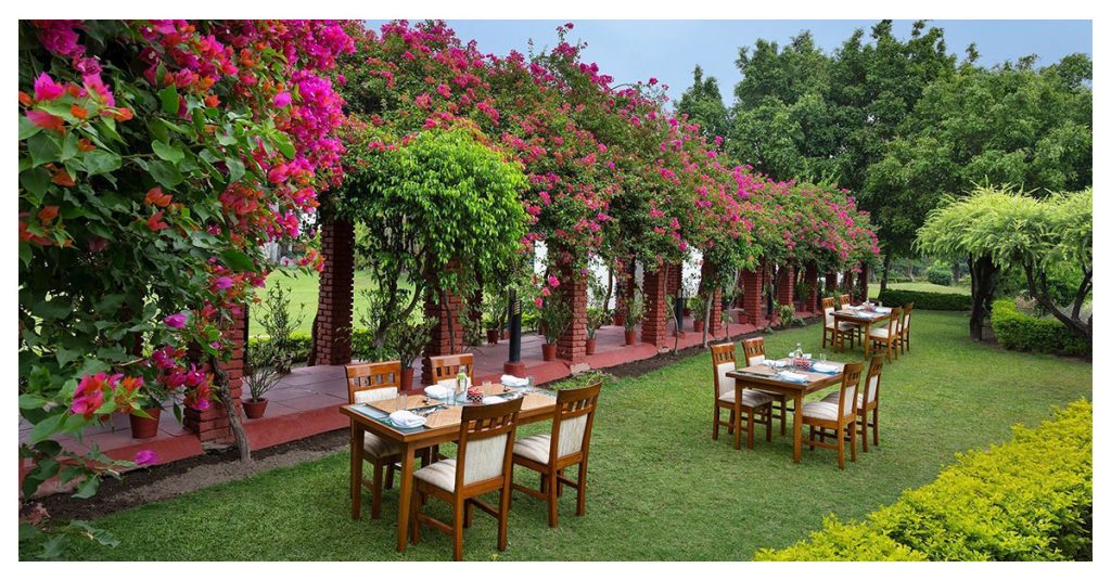 Naturoville Himalayan Wellness Retreat
