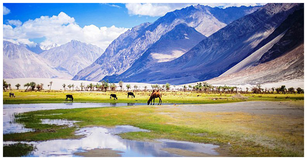 Nubra Valley