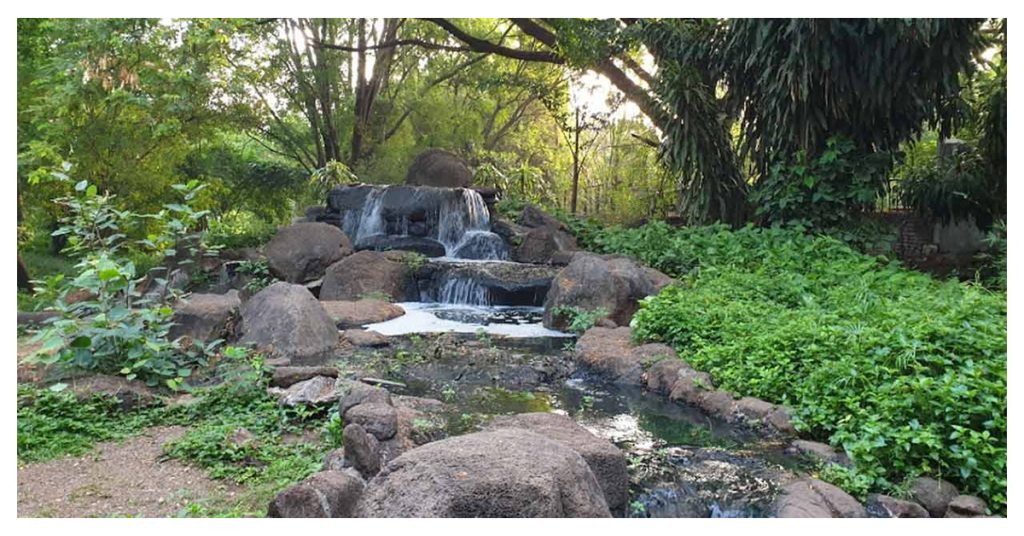 Osho Garden