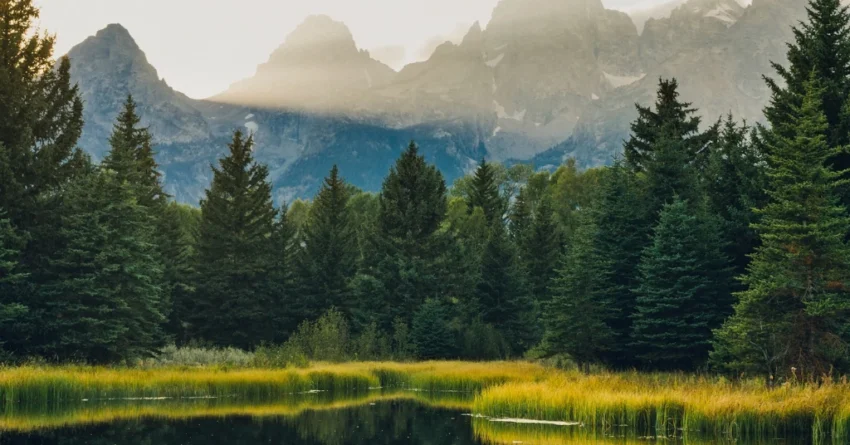 national parks in India