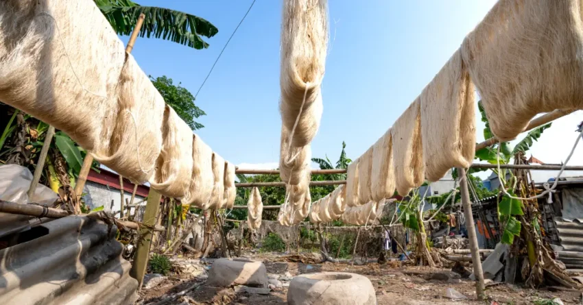 Natural silk in India
