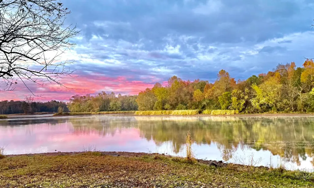 Chickamauga Lake in Tennessee