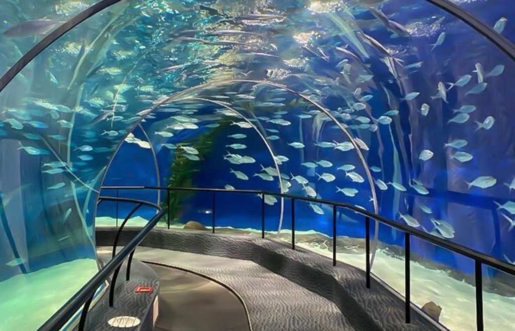 Dubai Underwater Zoo and Aquarium