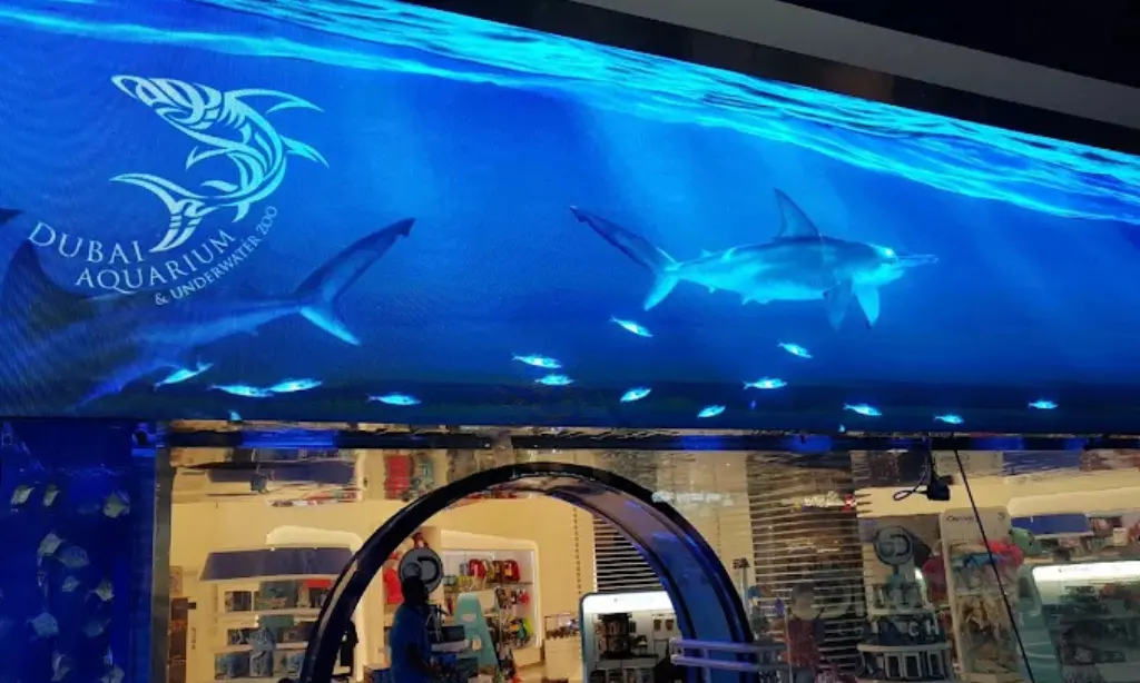 Dubai Aquarium & Underwater Zoo