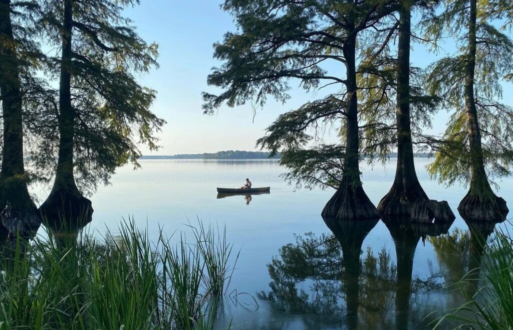 Reelfoot Lake