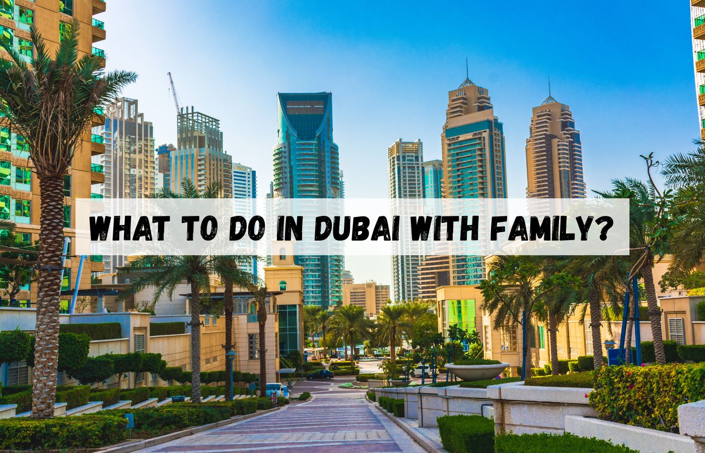 What to do in Dubai