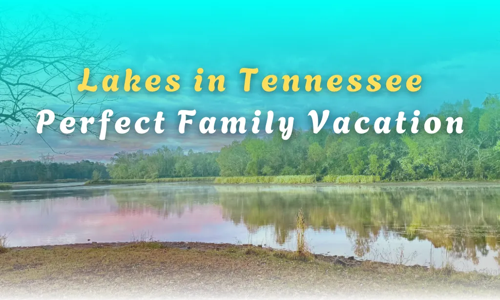 lakes in tennessee